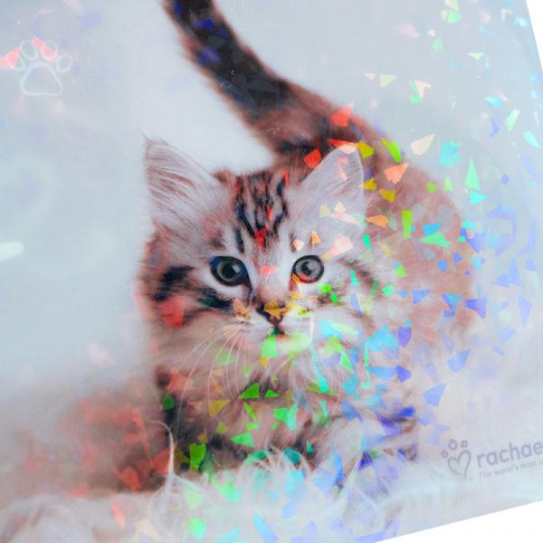 Папка на кнопці А4, R