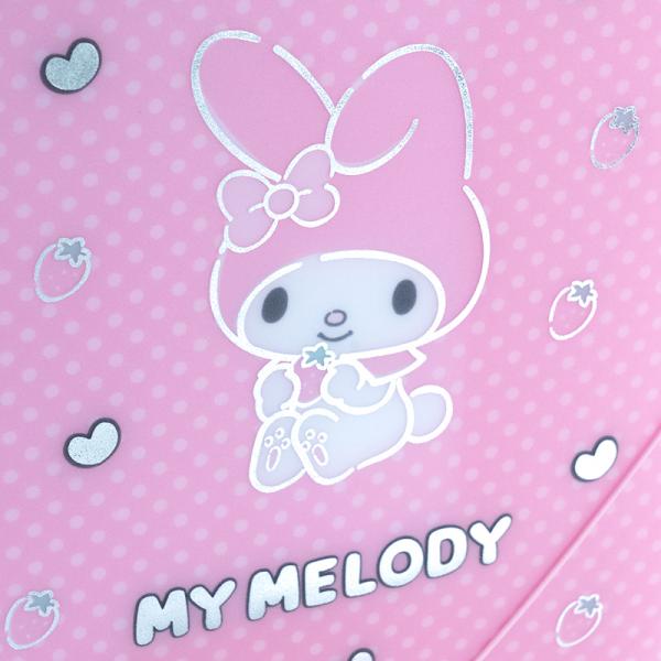 Папка на гумці А4, HK-2