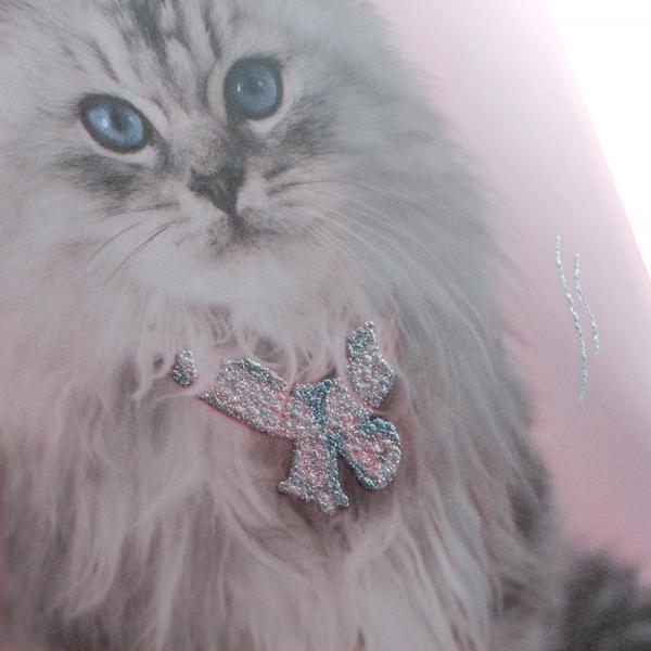 Папка на гумці А4, R