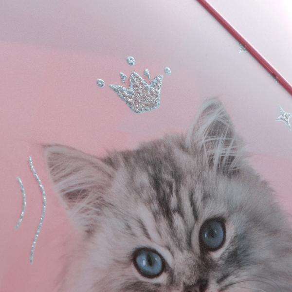 Папка на гумці А4, R