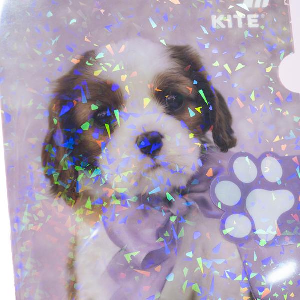 Папка-куточок з клапаном А4, R