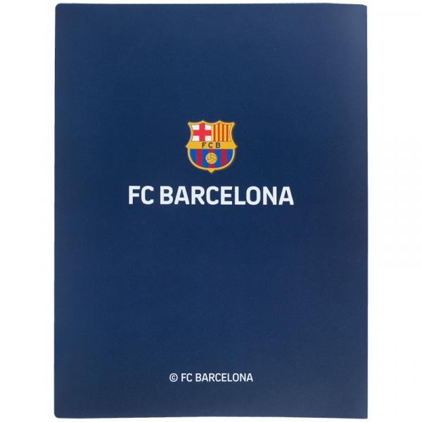 Дисплей-книга, А4, 20 файлів, BC