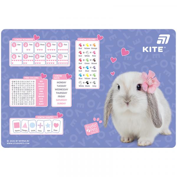 Підкладка настільна, 42,5x29см, PP SP