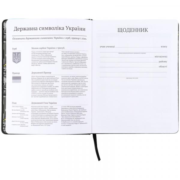 Щоденник шкільний, тверда обкл. PU, DC