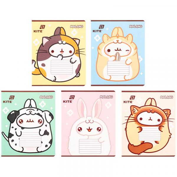 Зошит 18 арк., кл.,  софт тач + УФ лак, ML