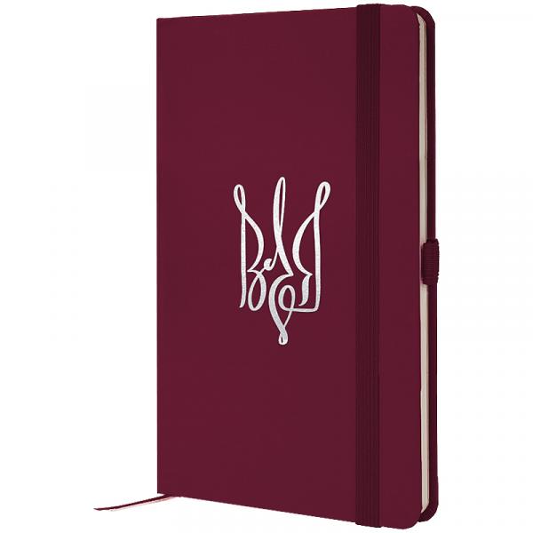 Книга записна Partner, 125*195, 96арк, кліт, винна, Воля