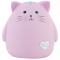 Скарбничка Kite pink cat